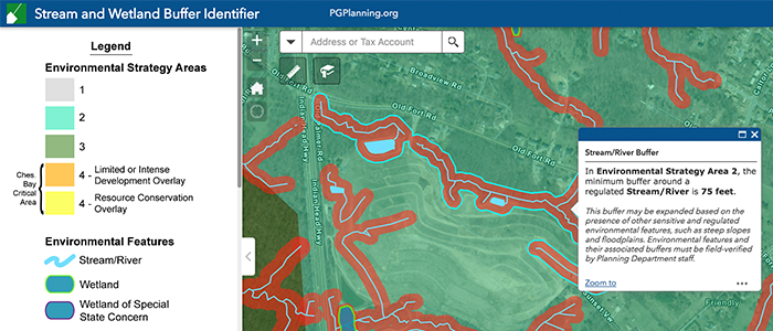 stream and wetland buffers