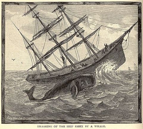 The Wreck of the Essex