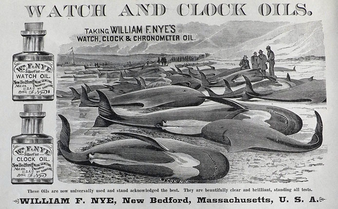 Whale Oil